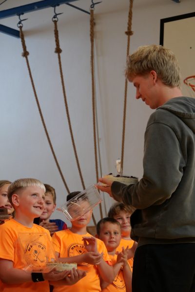 54701430694_6c3d8b533c_b